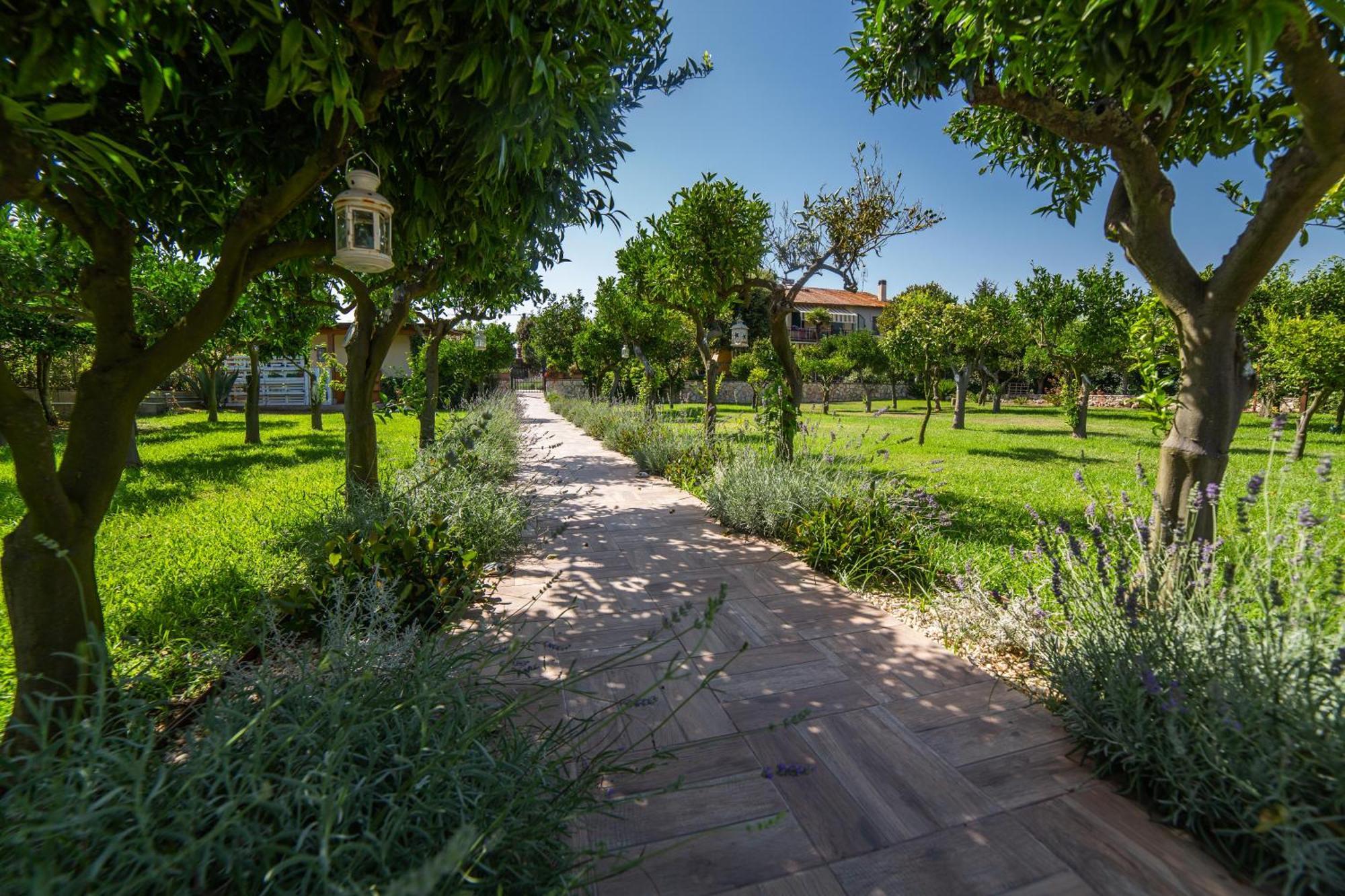 I Lecci Guesthouse ซาน เฟลิเช เชร์ชีโอ ภายนอก รูปภาพ